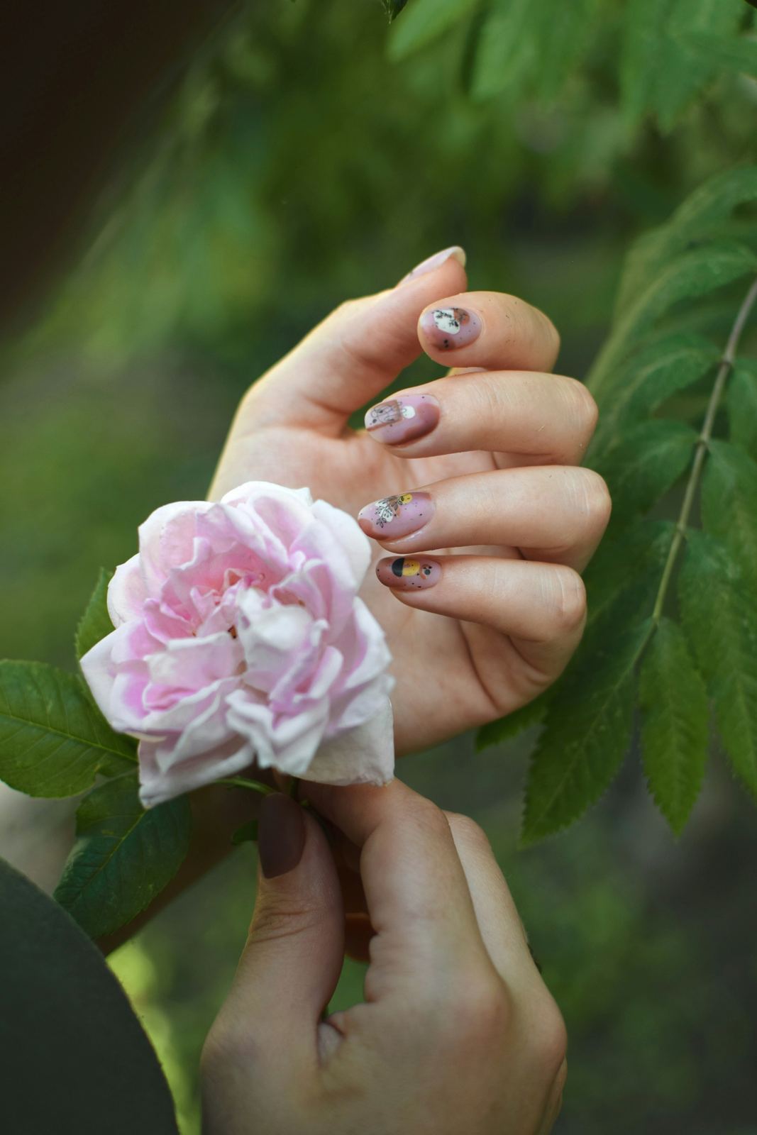 Mauve nails holding a pink rose