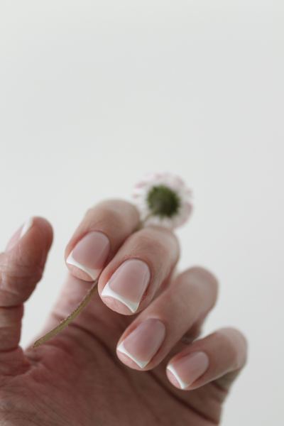 A soft French manicure holding a small daisy